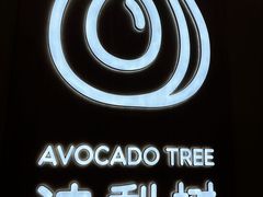 -油梨树AVOCADO TREE(嘉里中心店)