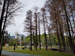 -四海公园(南山区)