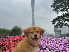 -二沙岛艺术公园