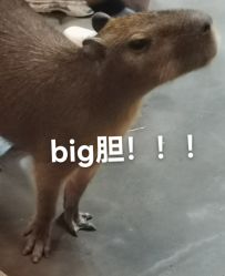 点击看大图 -Zoolung Zoolung动物主题公园(海信广场店)