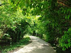 -黑龙江省森林植物园