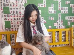 -我爱猫咪·猫咖·狗咖·安哥拉兔·羊驼咖(小寨华旗店)