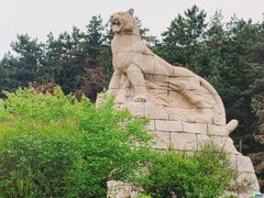 -帽儿山国家森林公园