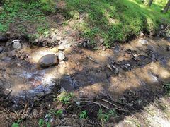 -鹞子沟国家森林公园