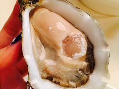 -Oyster Talks 四度蚝法餐厅