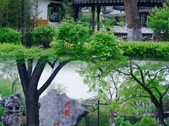 -君庭中餐厅(友谊宾馆店)