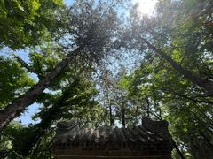 -潭柘寺景区