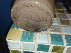 -马拉桑果汁(龙头路总店)