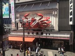 -蟹道乐(道顿堀本店)