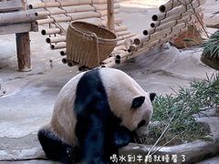 -常州淹城野生动物世界