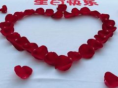 -梧桐