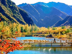 -百里山水画廊