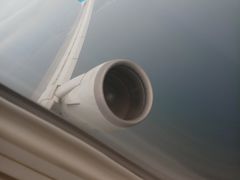 -全日本空输株式会社(上海办事处)