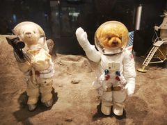 -济州岛泰迪熊博物馆