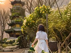 -上海佘山国家森林公园西佘山园