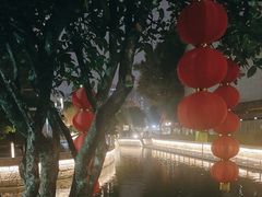 -荔湾湖公园