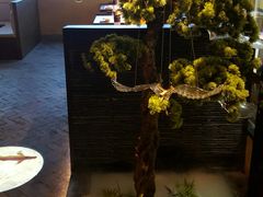 -鼎盛蜀坊·重庆江湖菜(市桥地铁站店)