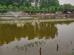 -同銮特种养殖场·龙虾垂钓