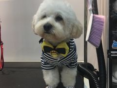 -PETKIT 小佩宠物·低压洗护·美容·寄养(安远店)