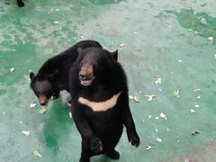 -西安秦岭野生动物园