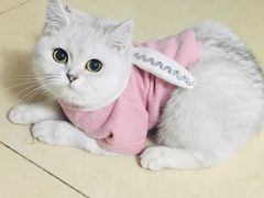 -联合动物医院(光谷诊疗中心)
