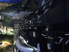 -梦幻海洋王国(吾悦广场张家港店)