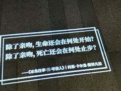 -滇铺子·云南特色菜·第九届野生菌美食节(东风东路c86店)