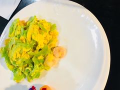-云中小雅
