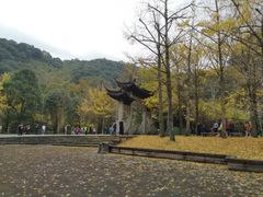 -五泄景区