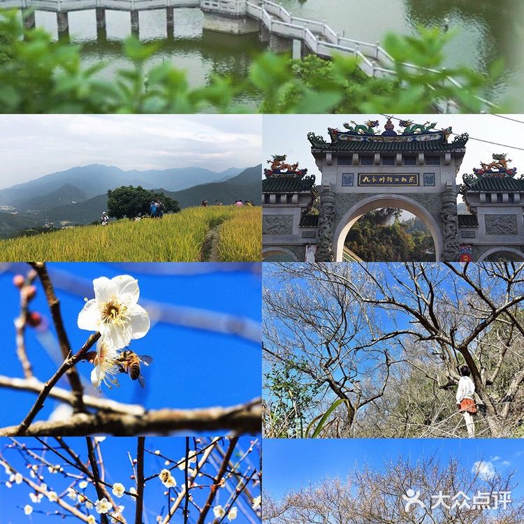广东惠州｜惠东景点 小众好玩地合集[胜利]