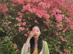 -木兰云雾山