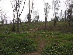 -白鹭湾湿地公园