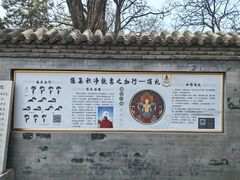 -护国法轮寺