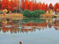 -东湖生态旅游风景区