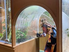 -帕帕拉兹宠物(亚洲旗舰店)