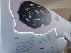 -抱抱地球咖啡馆(国家海洋博物馆店)