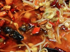 -向川南·水煮鱼·川菜(和平里店)