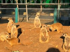 -秦皇岛野生动物园