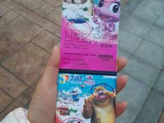 -郑州方特梦幻王国