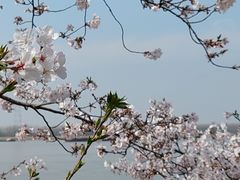 -幕燕滨江·长江观音景区