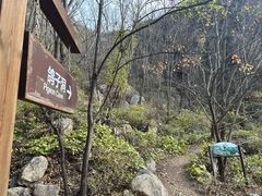 -大岭沟猕猴桃谷风景区