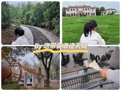 -艾溪湖湿地公园