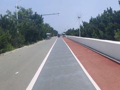 -日照海滨国家森林公园