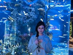 -石家庄极地海洋世界
