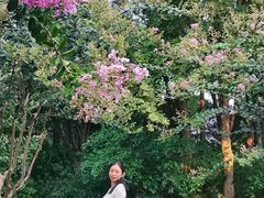 -杭州城北体育公园