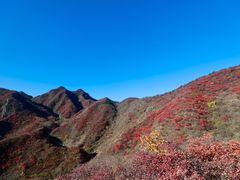 -水峪民俗村