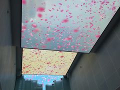 -上海市龙华烈士陵园