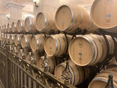 酒窖-北京张裕爱斐堡酒庄
