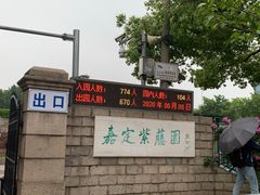 -嘉定紫藤园