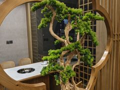 -陈三娃泡姜鸡